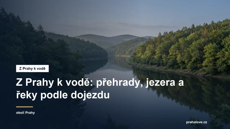 Hladina přehrady se zalesněnými břehy v letním ránu