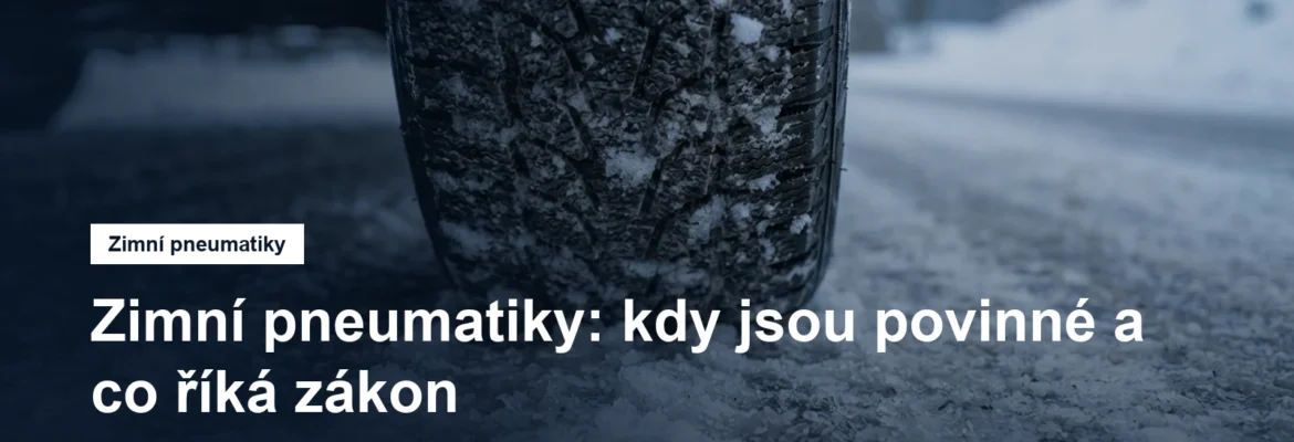 Zimní pneumatika s dezénem na zasněžené vozovce