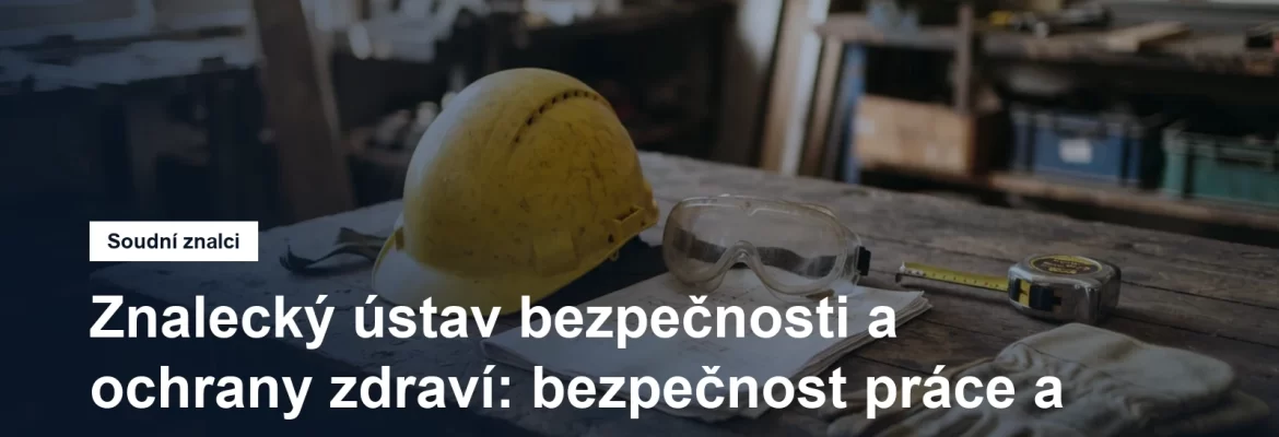 Znalecký ústav bezpečnosti a ochrany zdraví, bezpečnost práce a ergonomie, Stodůlky na Praze 5