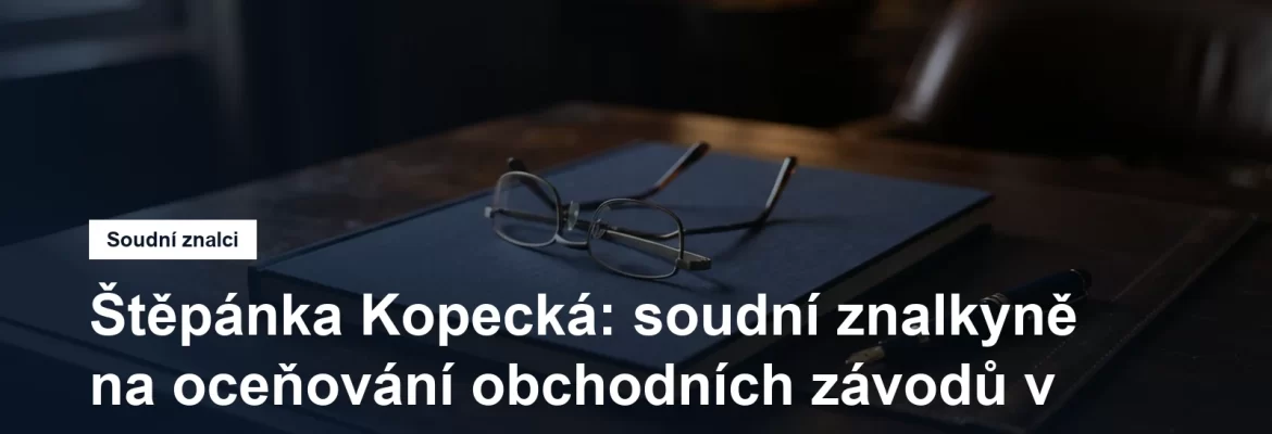 Soudní znalkyně Ing. Štěpánka Kopecká, oceňování obchodních závodů a nehmotného majetku, Žižkov na Praze 3