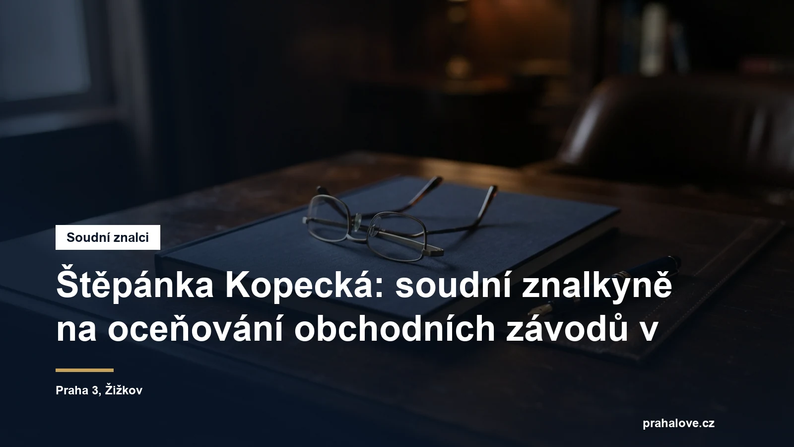 Soudní znalkyně Ing. Štěpánka Kopecká, oceňování obchodních závodů a nehmotného majetku, Žižkov na Praze 3