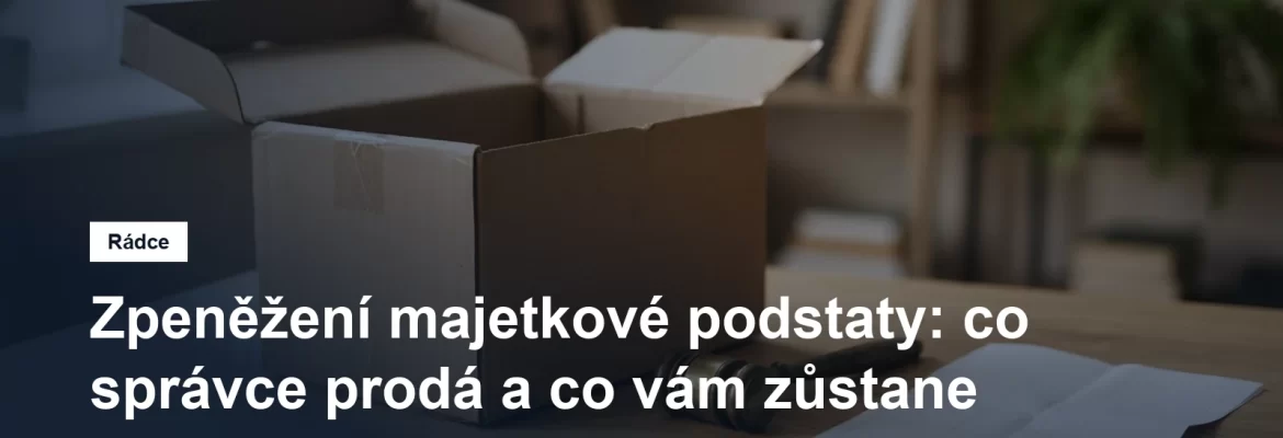 Soupis a zpeněžení majetkové podstaty v insolvenčním řízení