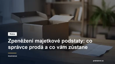 Soupis a zpeněžení majetkové podstaty v insolvenčním řízení
