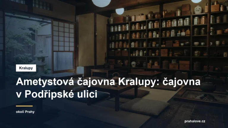 Interiér čajovny s nízkým posezením