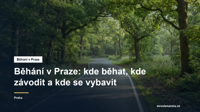 Cesta parkem vhodná pro běh