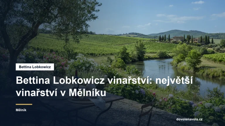 Vinařství se zahradou u Labe