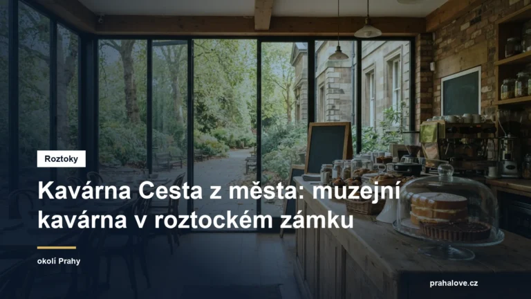 Muzejní kavárna s vitrínou dortů u parku