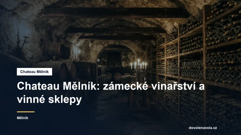 Zámecké vinné sklepy