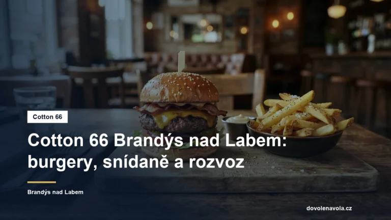 Burger s hranolky