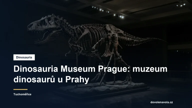 Dinosauria