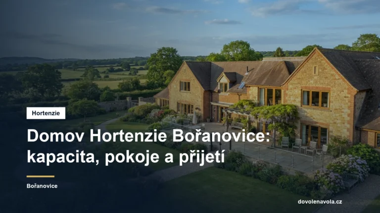 Hortenzie