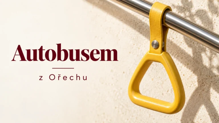 Detail madla v autobuse – Autobusem, z Ořechu