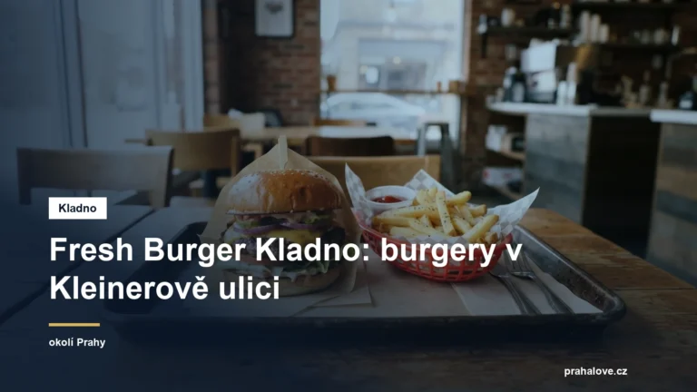 Burger s hranolky na podnose