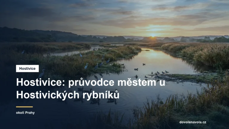 Rybníky s mokřady a ptactvem