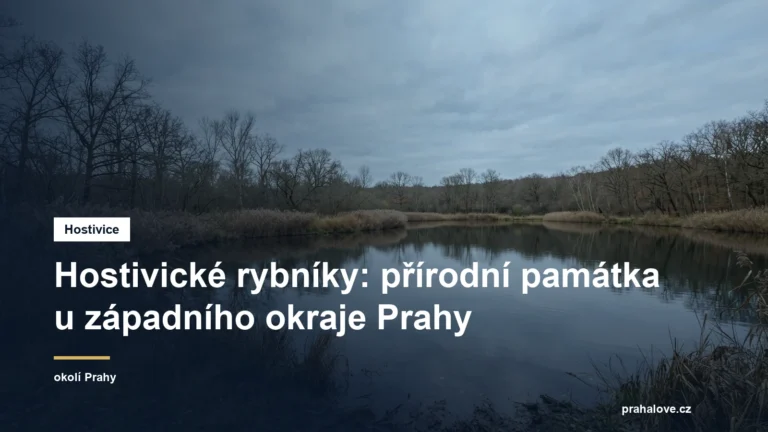 Rybník s rákosím a stromy na břehu