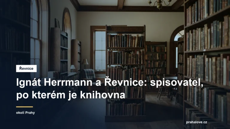 Interiér malé knihovny s dřevěnými regály