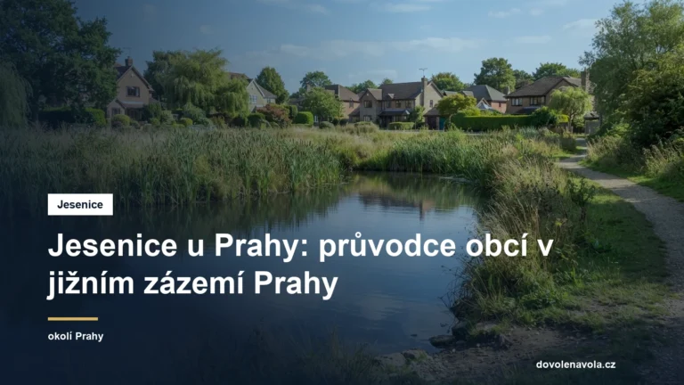 Rybník s rákosím u obce