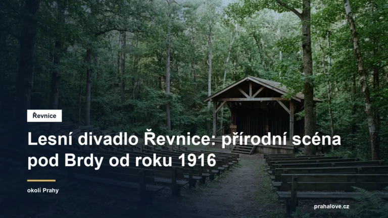 Přírodní amfiteátr s dřevěnými lavicemi v lese