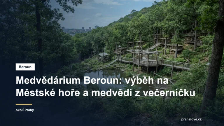 Zalesněný výběh s dřevěnými prvky v lesoparku