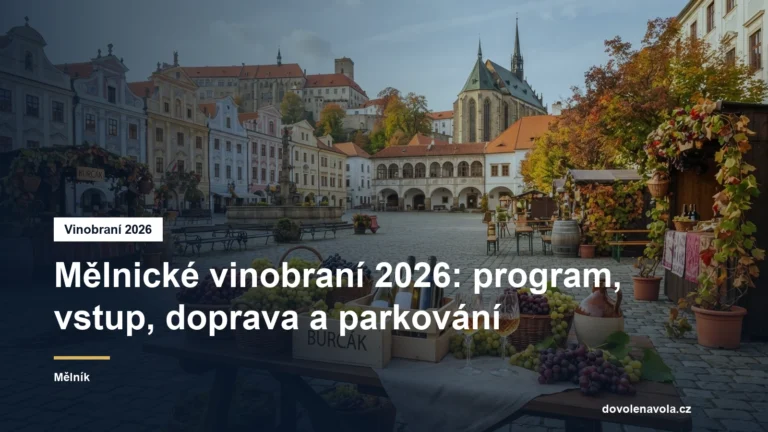 Vinobraní na náměstí