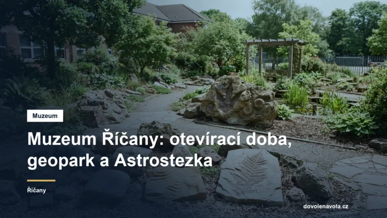 Muzeum ve vile