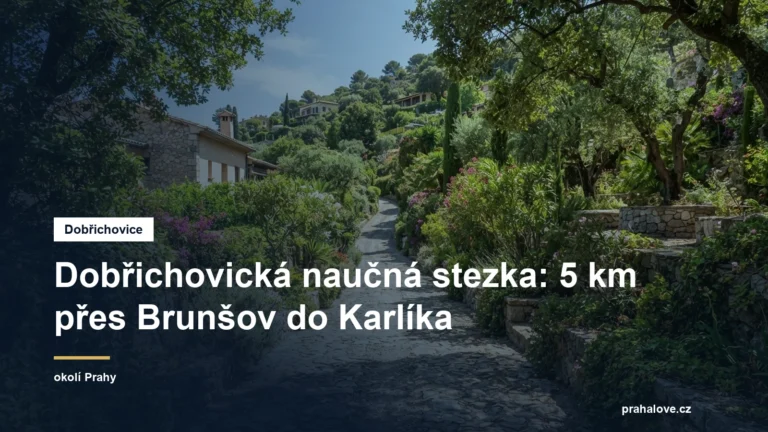 Cesta mezi zahradami vilové čtvrti