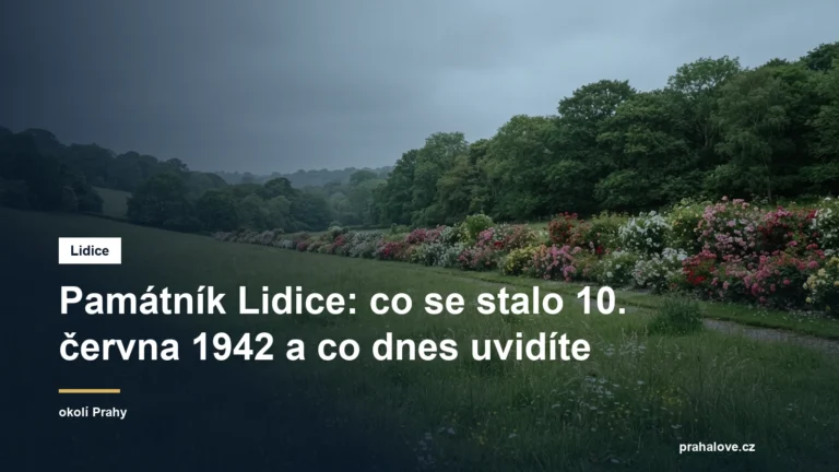 Tichá travnatá pietní louka s kvetoucím růžovým sadem