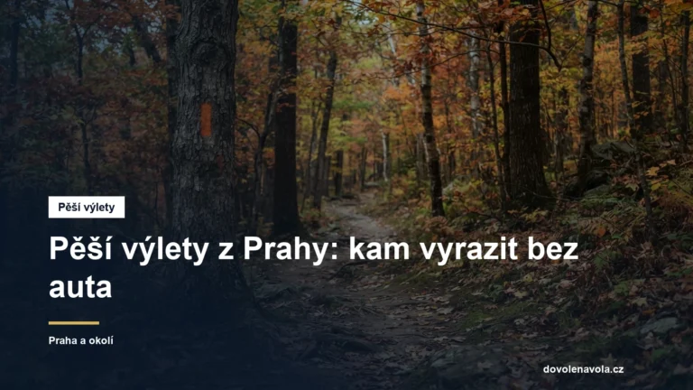 Lesní cesta se značkou turistické trasy
