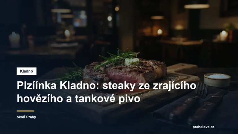 Grilovaný steak na dřevěném prkénku