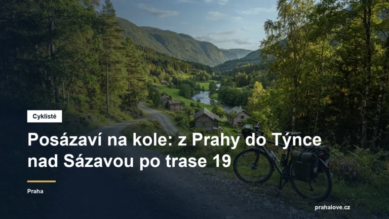 Trekové kolo na lesní cestě nad údolím Sázavy