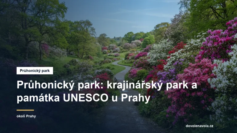 Kvetoucí rododendrony v parku