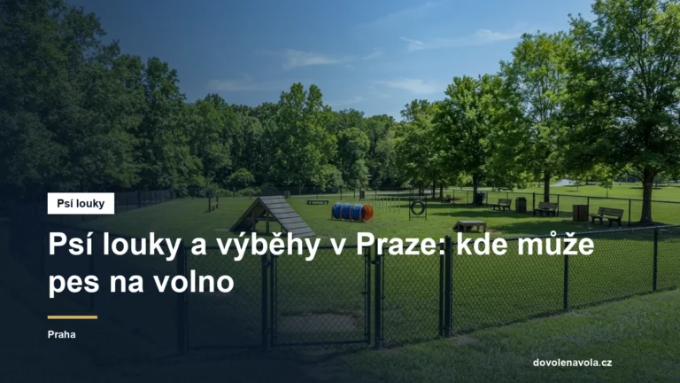Oplocený psí výběh s překážkami
