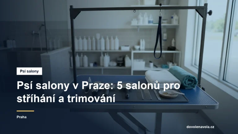 Stůl a nástroje v psím salonu