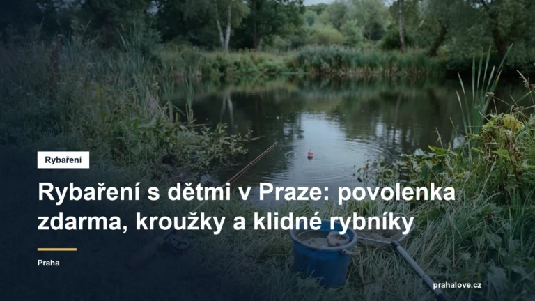 Dětský prut se splávkem u klidného rybníka
