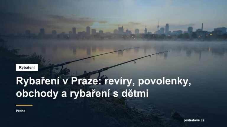 Rybářské pruty na břehu řeky za svítání