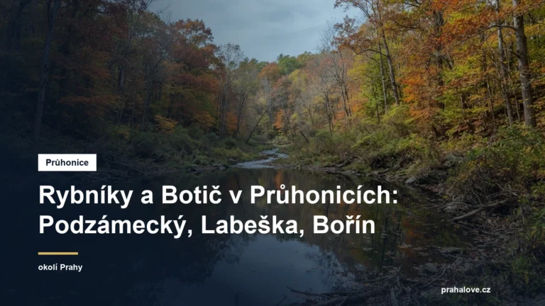 Klidný rybník v zalesněném údolí