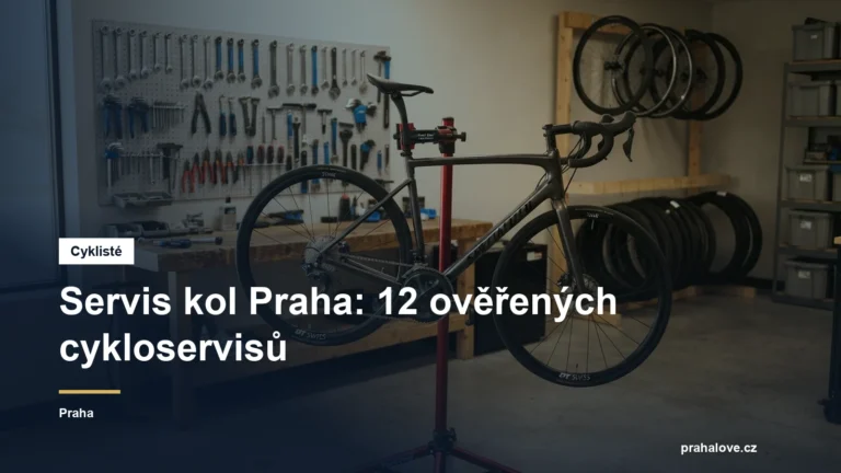 Kolo na montážním stojanu v cykloservisu