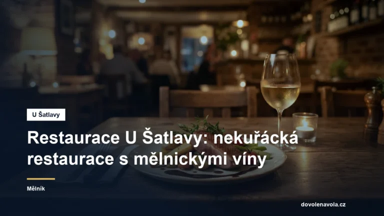 Nekuřácká restaurace s vínem