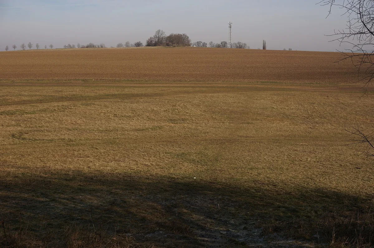 Pole s pohřebištěm únětické kultury u Holého vrchu
