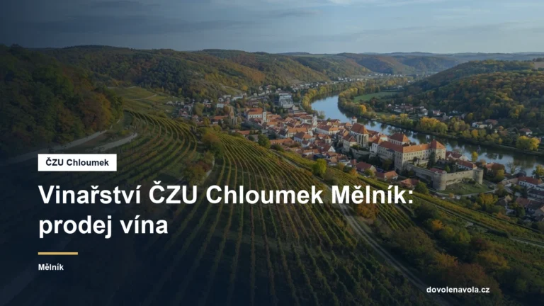 Vinice nad městem