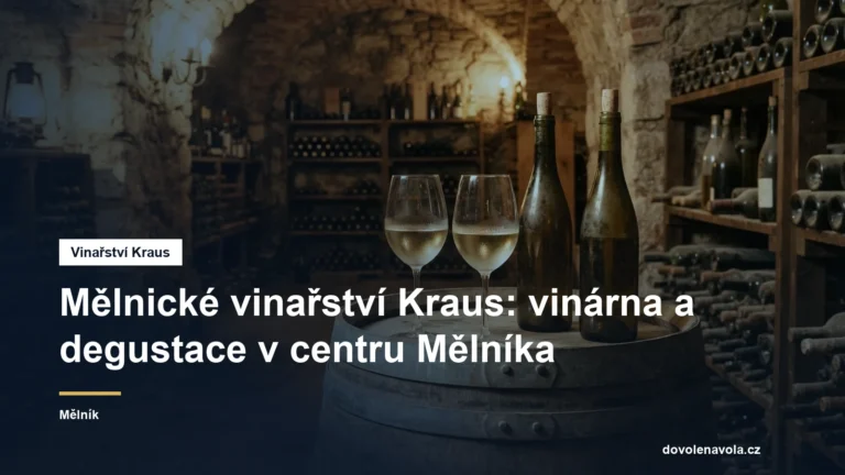Vinárna a degustace v centru