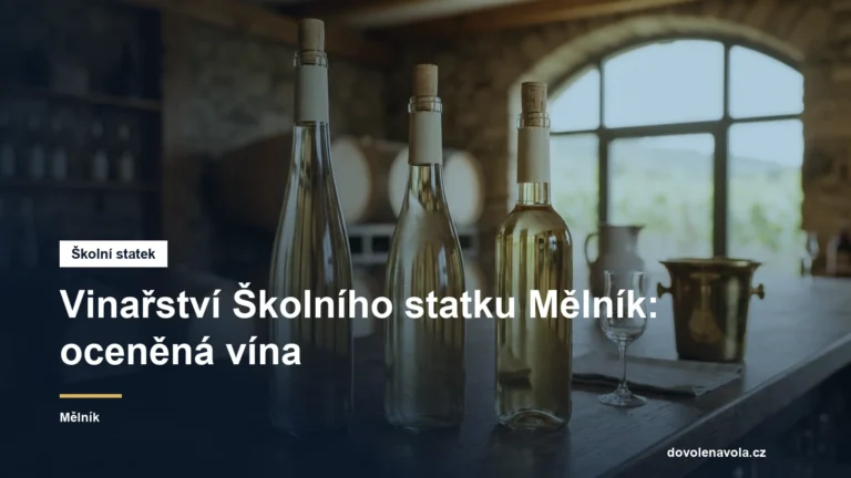 Láhve bílého vína