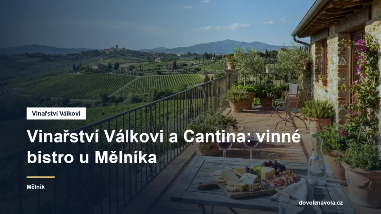 Vinné bistro s terasou nad vinicemi