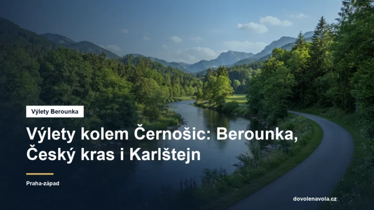 Řeka Berounka v zalesněném údolí