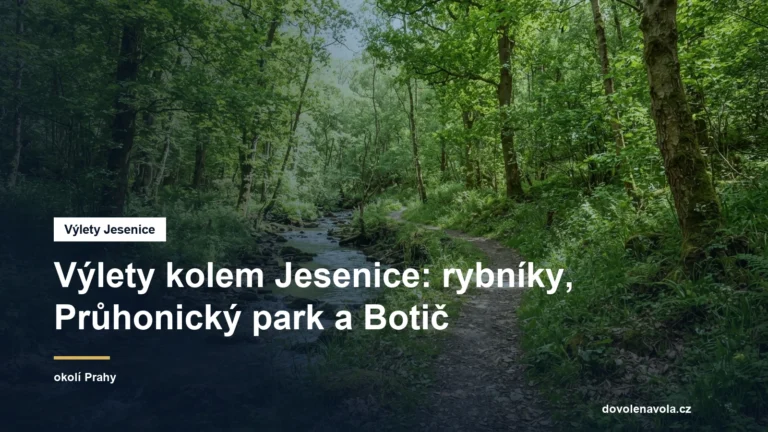 Lesní cesta u potoka