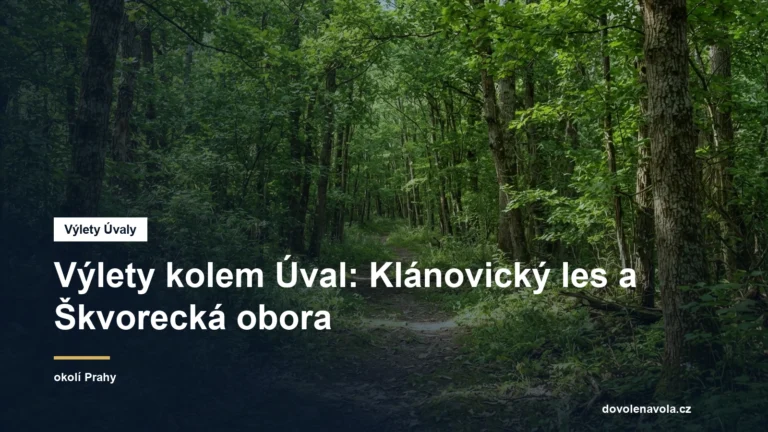 Lesní cesta v hlubokém lese