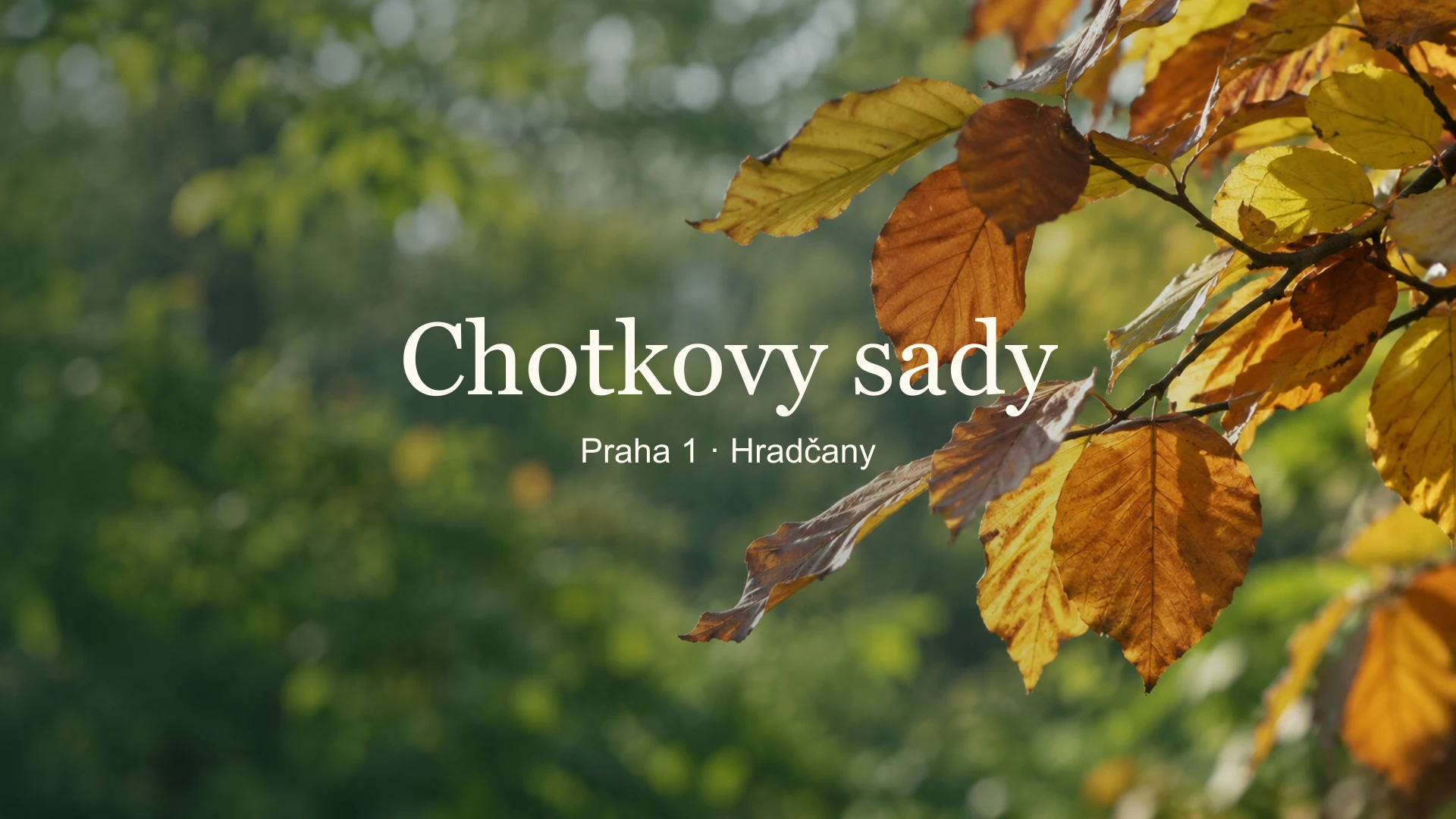 Chotkovy sady – tematický náhled s jemně rozostřeným pozadím a názvem uprostřed.