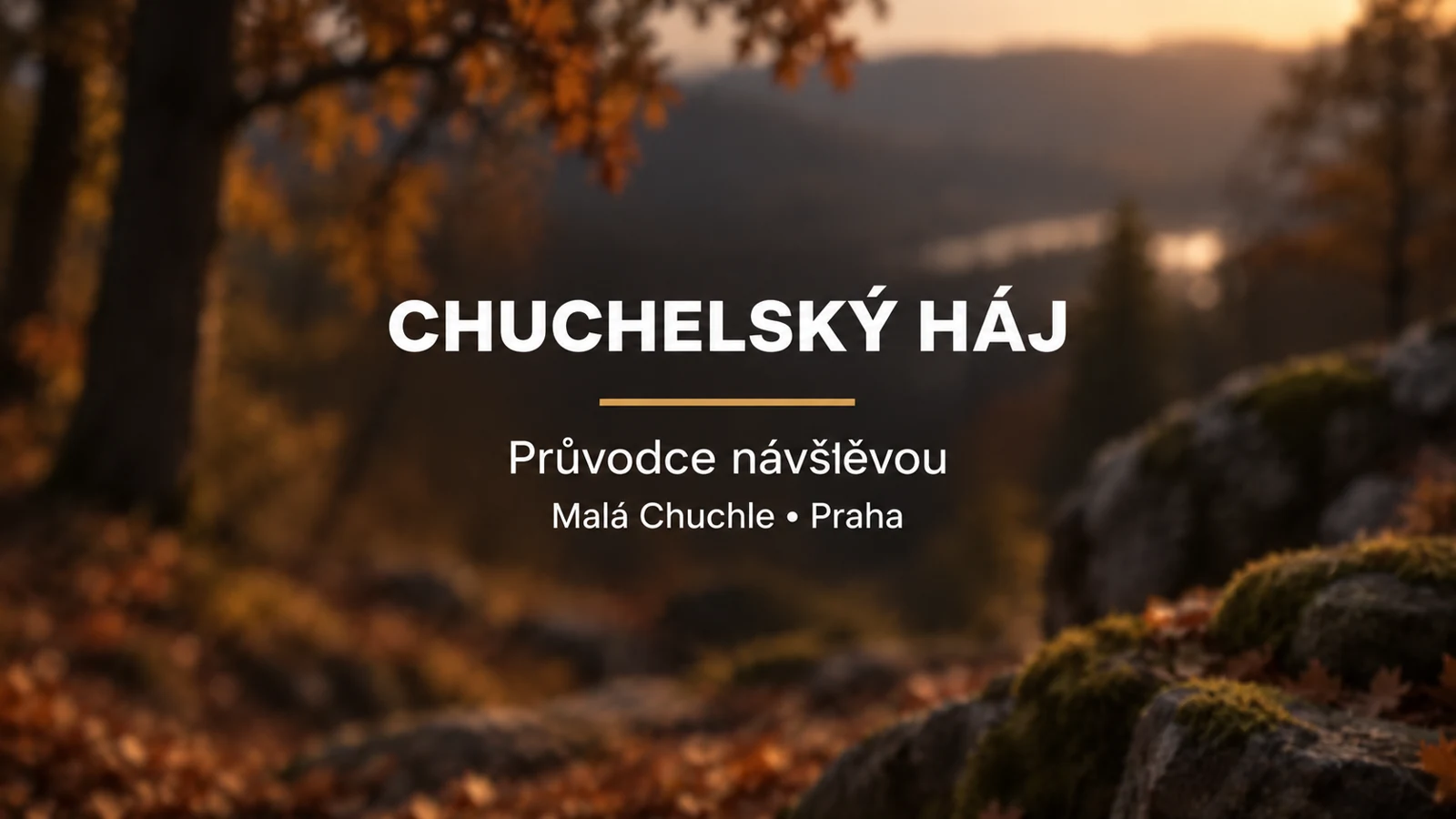 Chuchelský háj: bílý titulek se zlatou linkou na rozostřeném pozadí podzimního dubového lesa