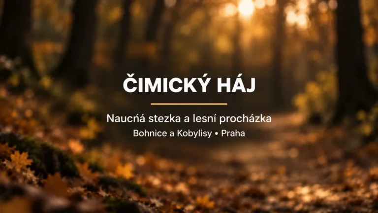 Čimický háj: bílý název a zlatá linka na rozostřeném pozadí podzimní lesní cesty
