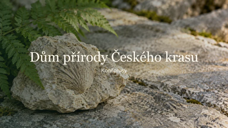 Vápenec s otiskem schránky a kapradina s názvem Dům přírody Českého krasu a lokalitou Koněprusy.